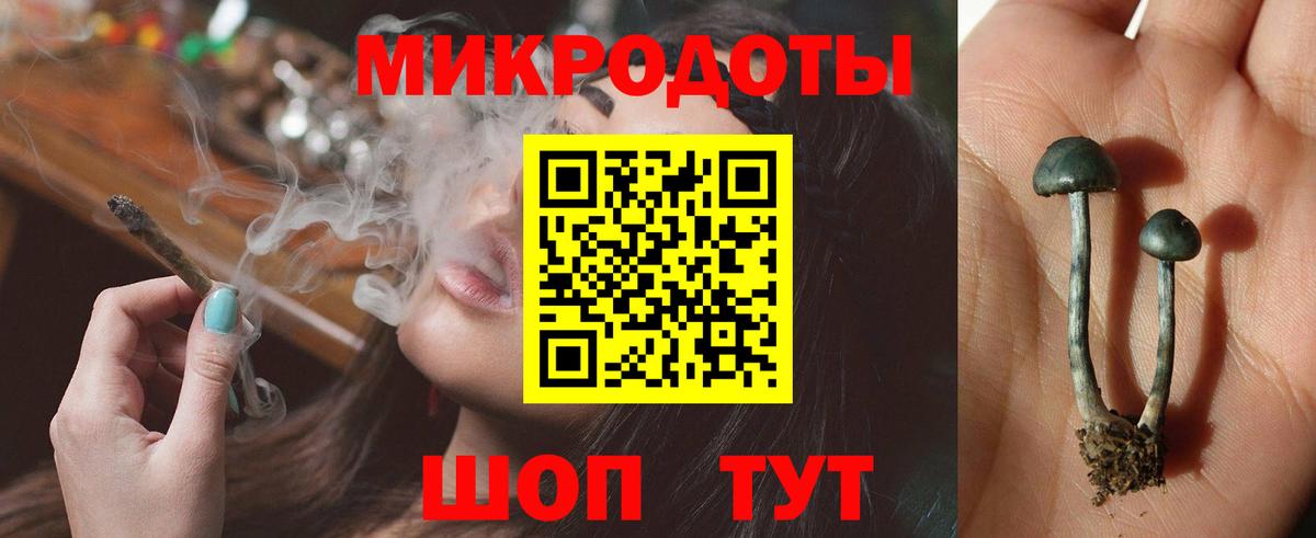 Псилоцибиновые грибы GOLDEN TEACHER Холмск